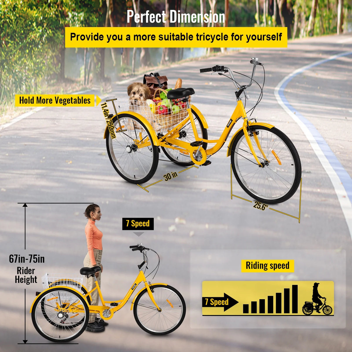 Adult Tricycle 26 inch 7-Speed 3 Wheel Cruiser Bike with Basket L253