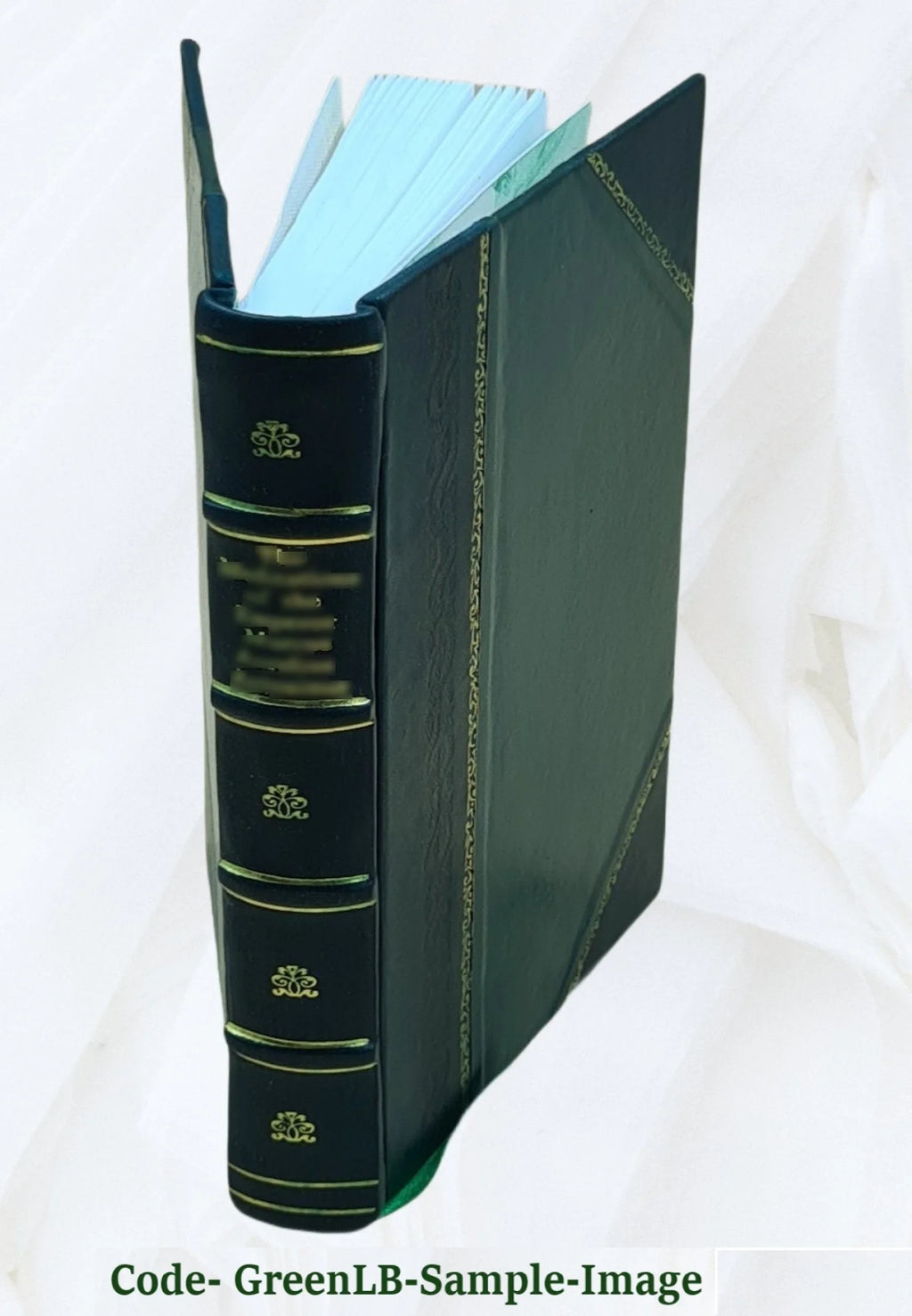 Leather Bound Book U458997