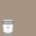 Exterior Paint (5-Gallon) J821351