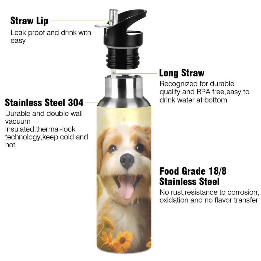 20 oz Insulated Stainless Steel Water Bottle with Straw Lid V718934