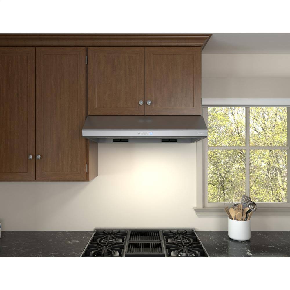 Stainless Steel 695 CFM Hood H4695