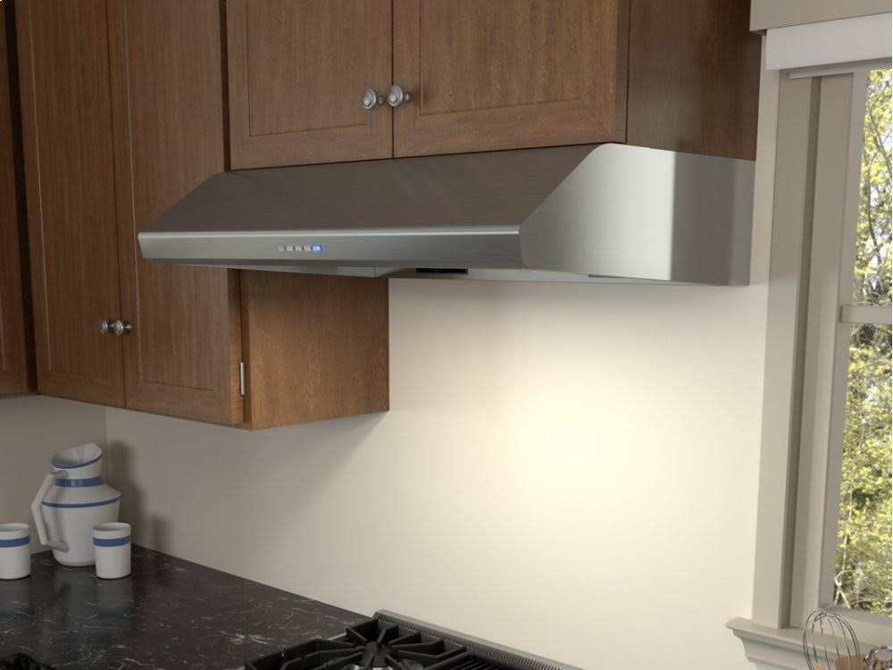 Stainless Steel 695 CFM Hood H4695