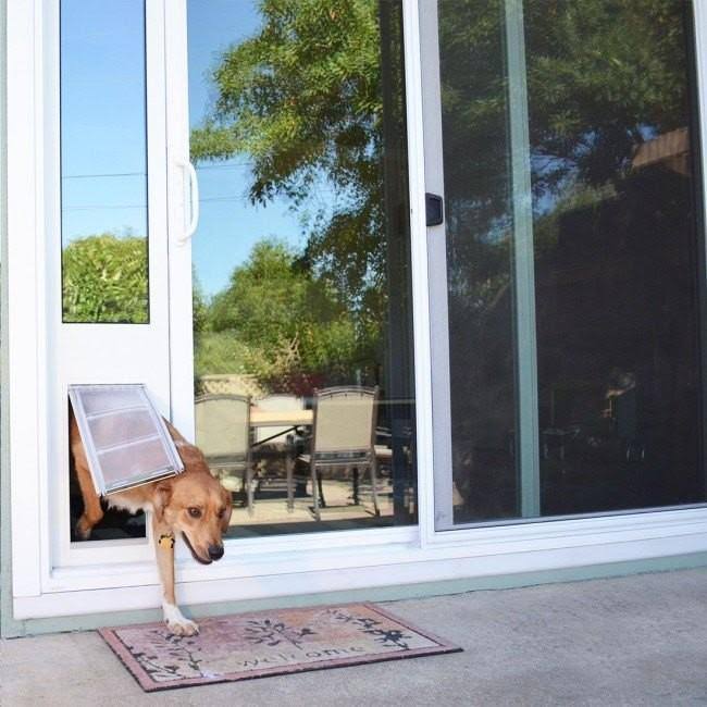 Bronze Frame Extra Large Pet Door Thermo Panel F8283