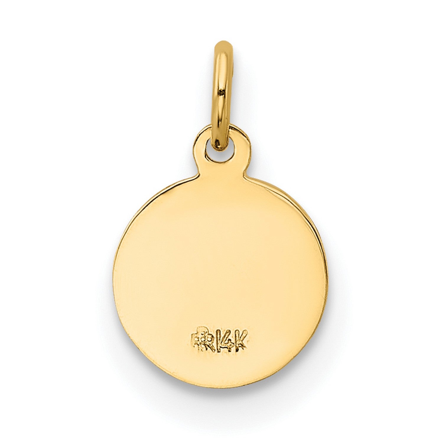 14k Yellow Gold Round Medal Pendant Y5776