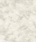White Pressed Petioles Wallpaper Y8174
