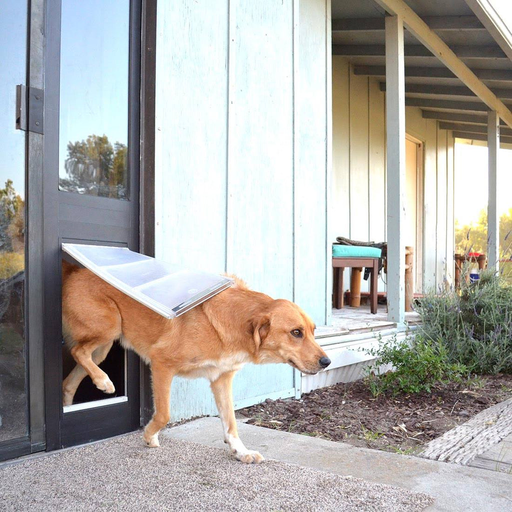 Bronze Frame Extra Large Pet Door Thermo Panel F8283