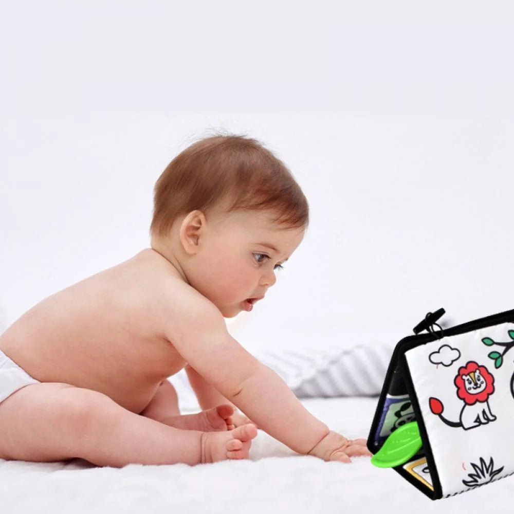 Tummy Time Floor Mirror with Crinkle Cloth Book and Teethers, High Contrast Black and White Baby Toys, Montessori Sensory Crawling Toy H3804
