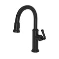Gloss Black Pull Down Faucet L28549