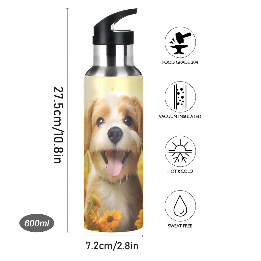 20 oz Insulated Stainless Steel Water Bottle with Straw Lid V718934
