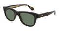 55mm Sunglasses M80523