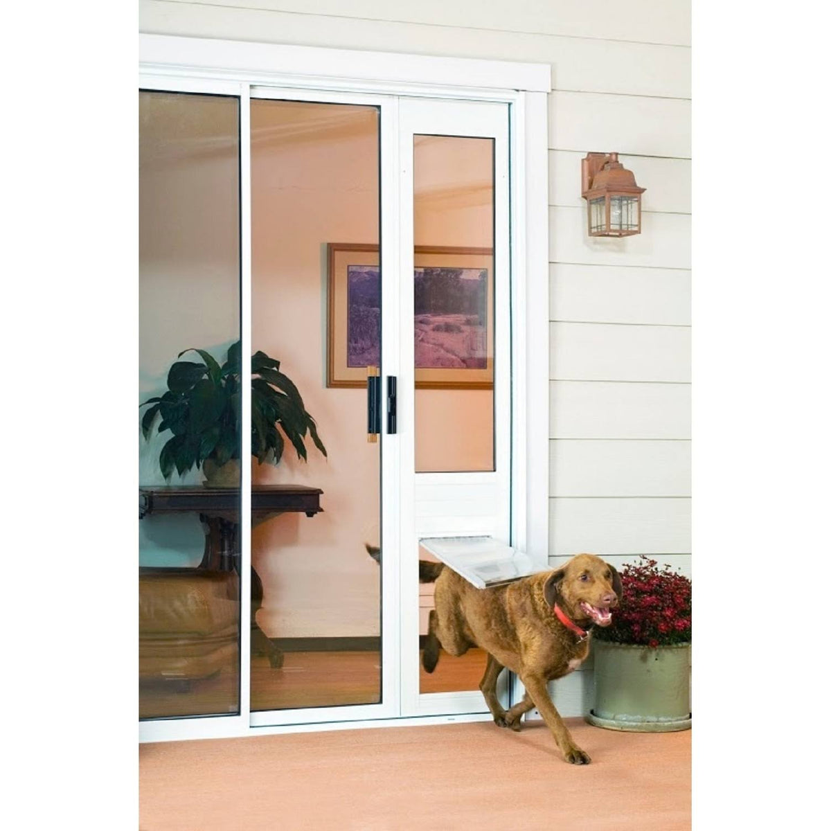 Bronze Frame Extra Large Pet Door Thermo Panel F8283
