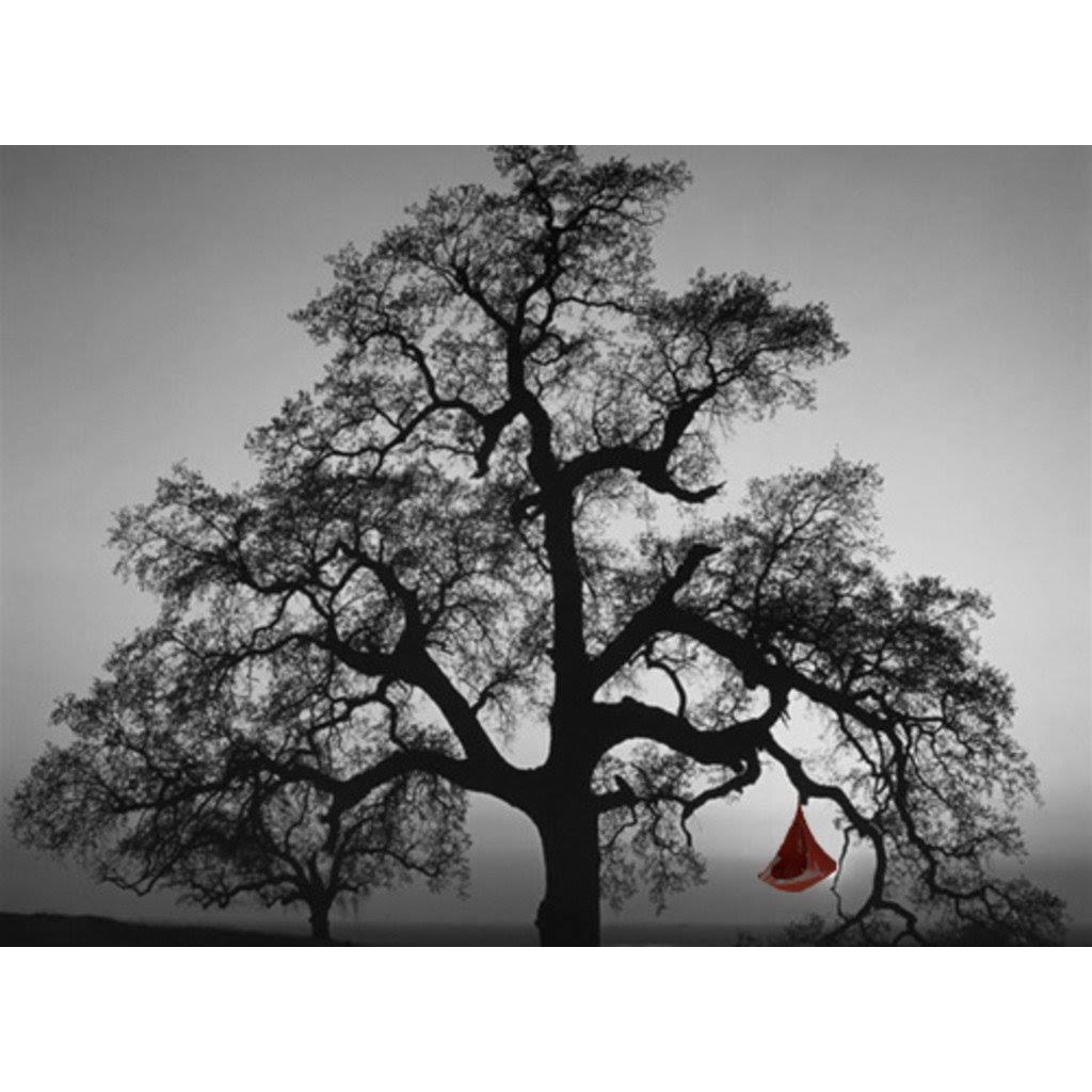 Single Hammock N820090