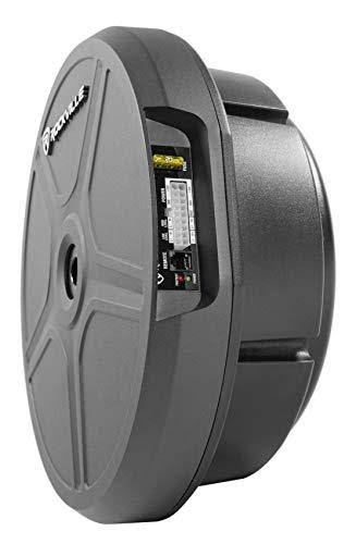 RockGhost Active Powered 8x22 Hidden Car Subwoofer for Full Size Spare Tire L363083