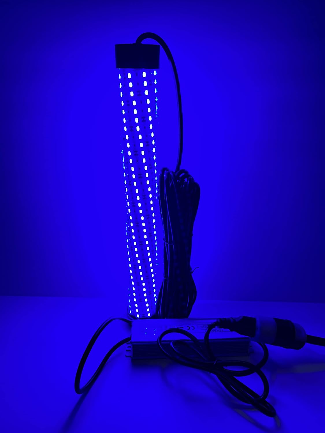 Blue 15,000 Lumen 300 LED 30ft Cord Waterproof AC Underwater Fishing Light R830