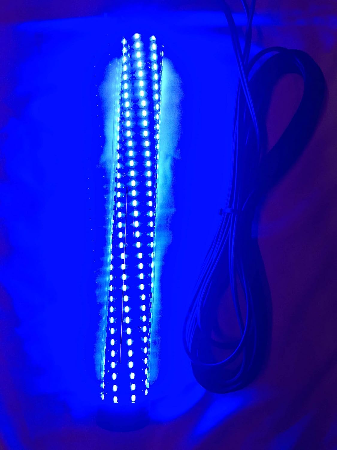 Blue 15,000 Lumen 300 LED 30ft Cord Waterproof AC Underwater Fishing Light R830