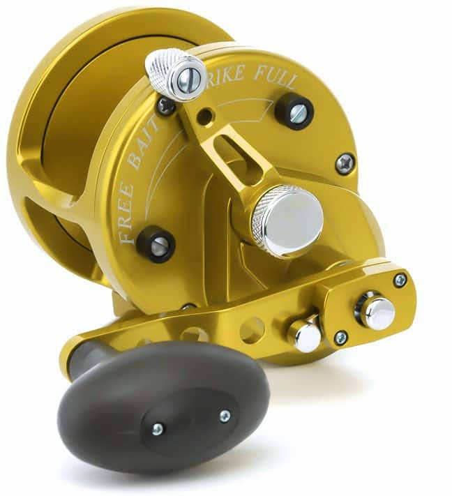 Gold 2-Speed Lever Drag Casting Reels Z256988