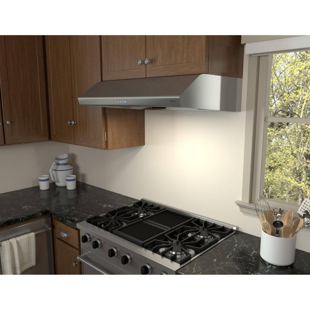 Stainless Steel 695 CFM Hood H4695