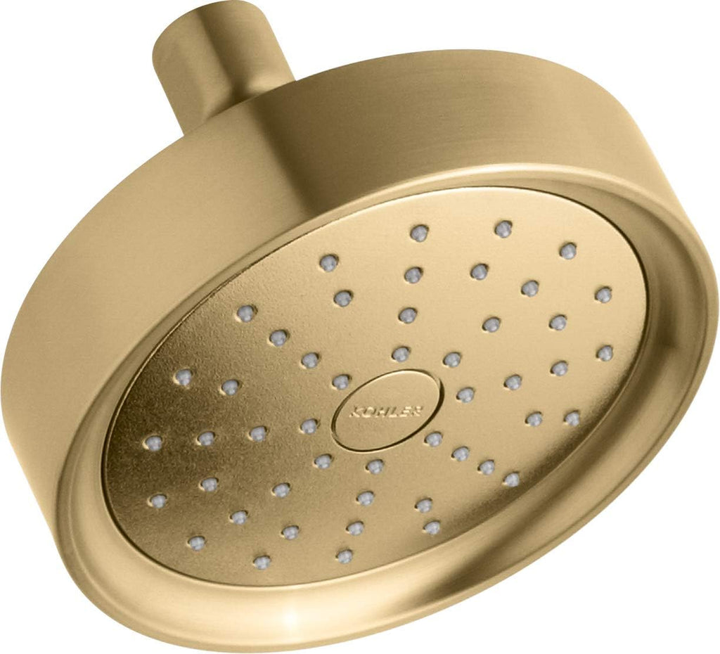 Vibrant Titanium Showerhead Z29892