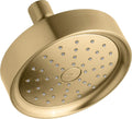Vibrant Titanium Showerhead Z29892