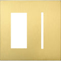 2 Gang Satin Brass Faceplate E5698