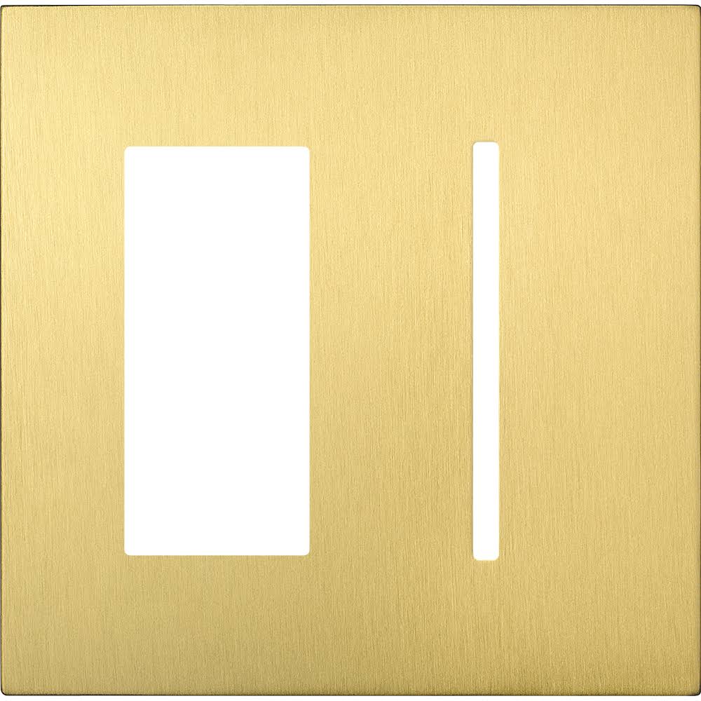 2 Gang Satin Brass Faceplate E5698