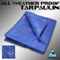 Blue Poly Tarp 10' x 20' Protective Cover N36420
