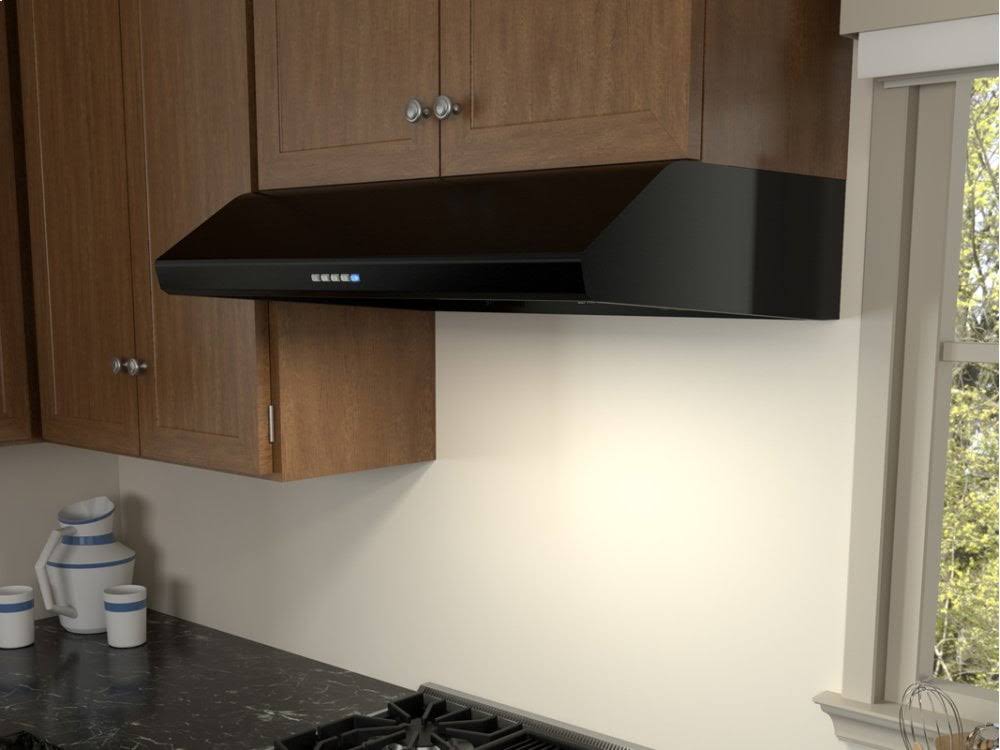 Stainless Steel 695 CFM Hood H4695