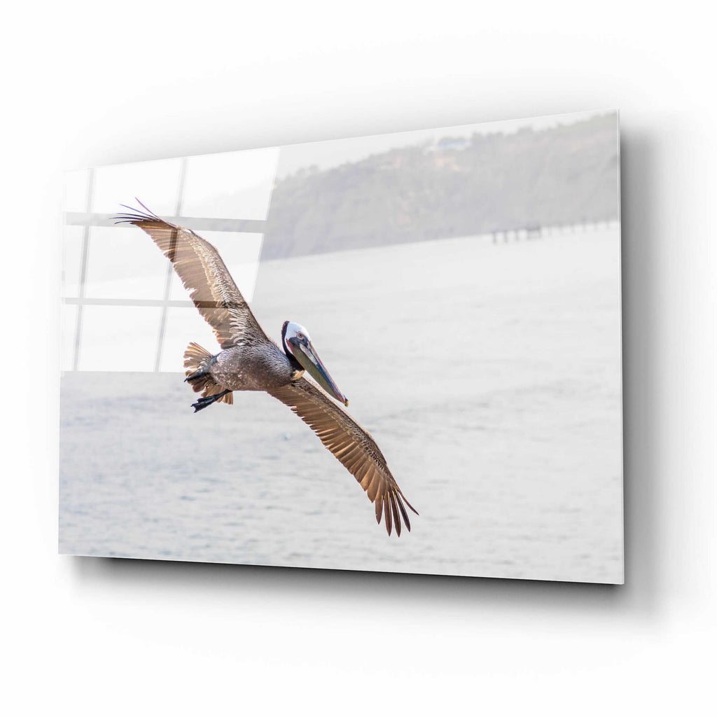 Acrylic Glass Wall Art C3809