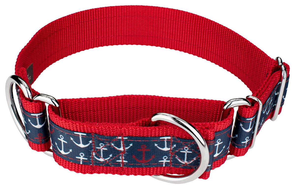 Nylon Martingale Adjustable Dog Collar, 1 1/2 inch, Large C5226