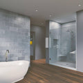 Chrome Frameless Hinged Shower Door K168