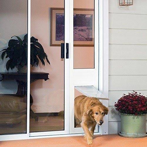 Bronze Frame Extra Large Pet Door Thermo Panel F8283