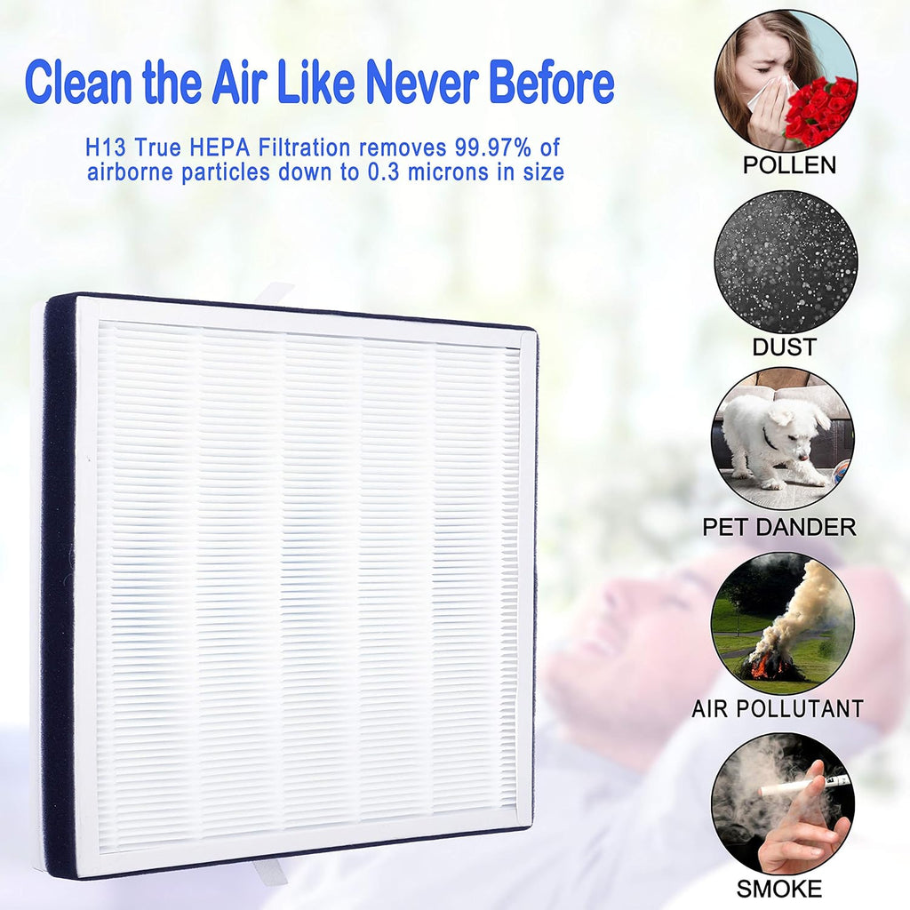 True HEPA Replacement Filter, H13 Grade, 1-Pack Pack of 2 E40578
