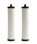 Filter Cartridge 2-Pack W813839