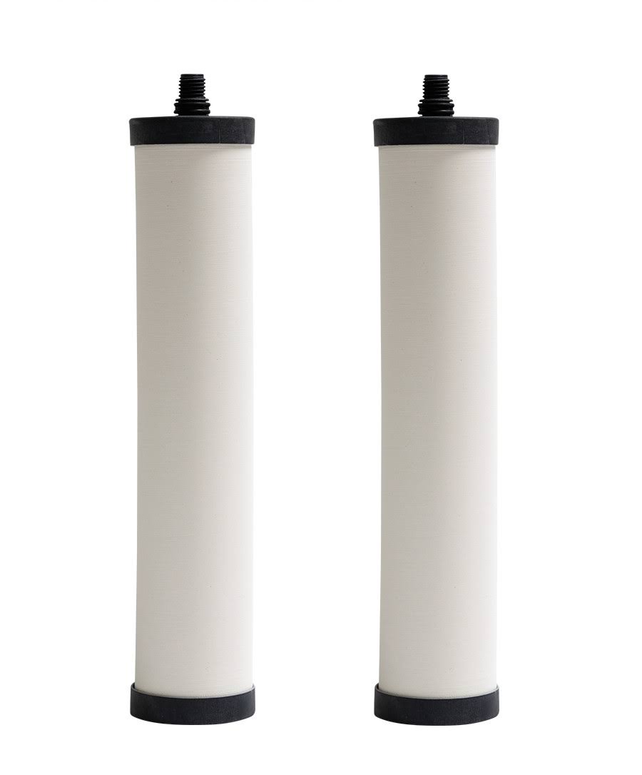 Filter Cartridge 2-Pack W813839