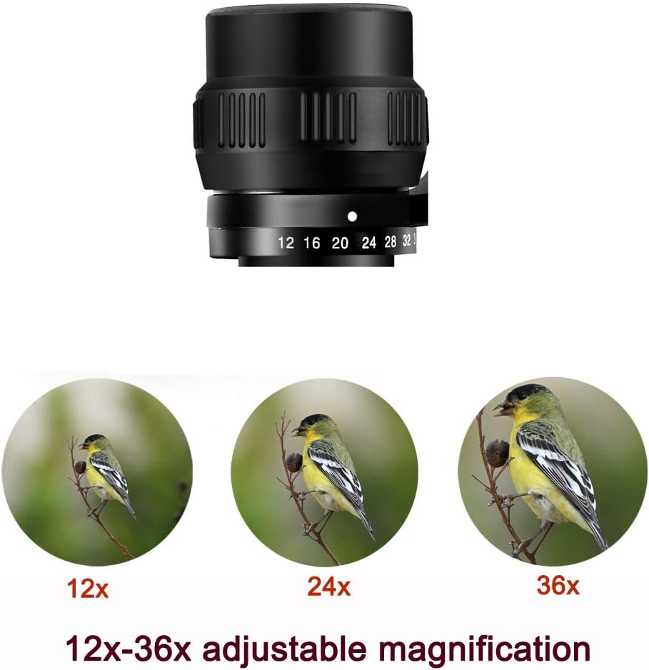12-36X60 High Magnification HD Zoom Binoculars P10343