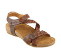Dark Brown Multi Shoes H33275