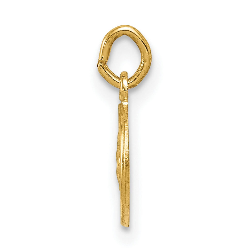 14k Yellow Gold Round Medal Pendant Y5776