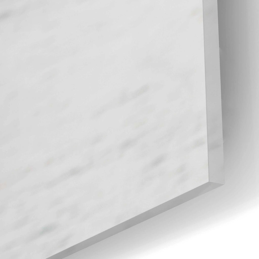 Acrylic Glass Wall Art C3809