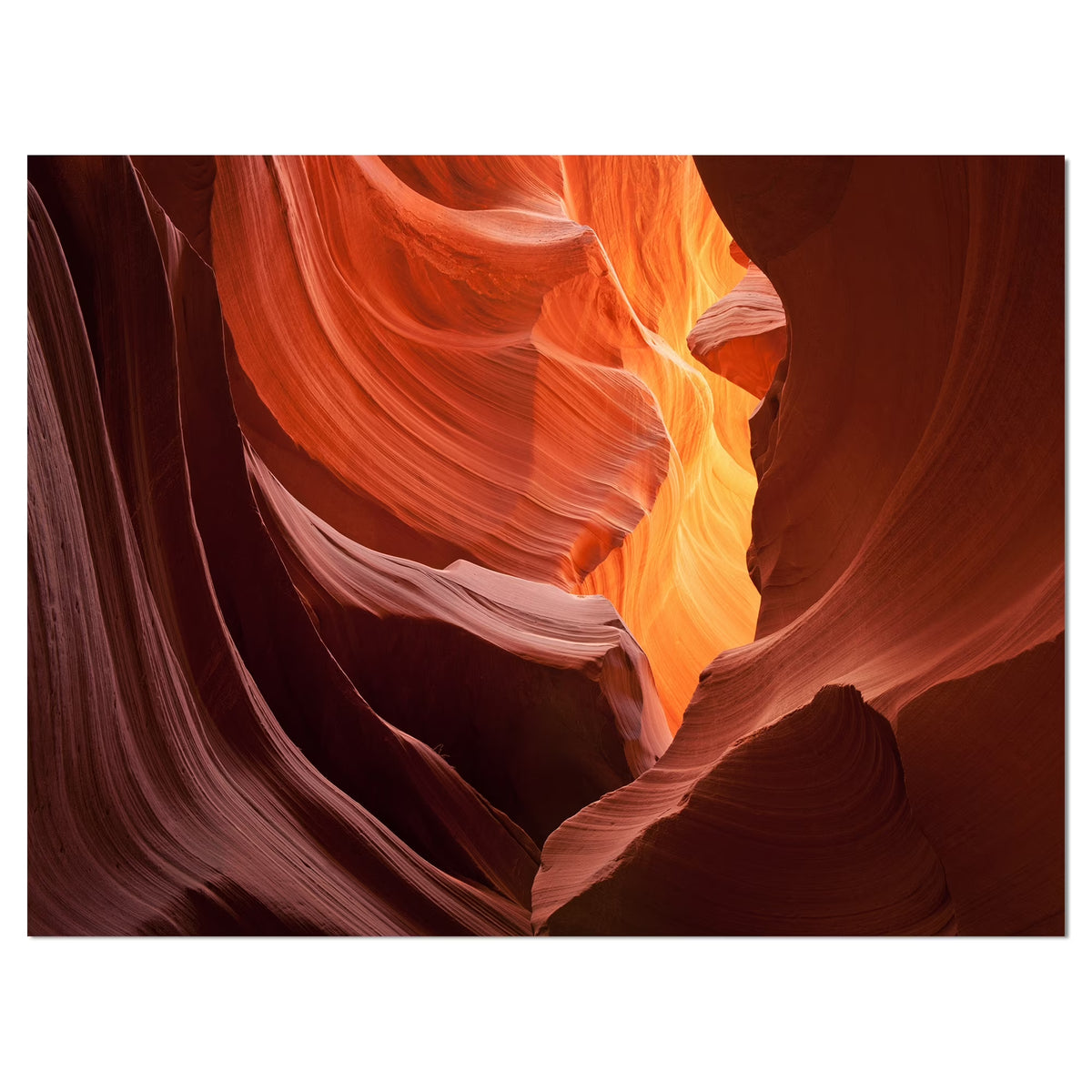 Brown Wrapped Canvas Photography T37638