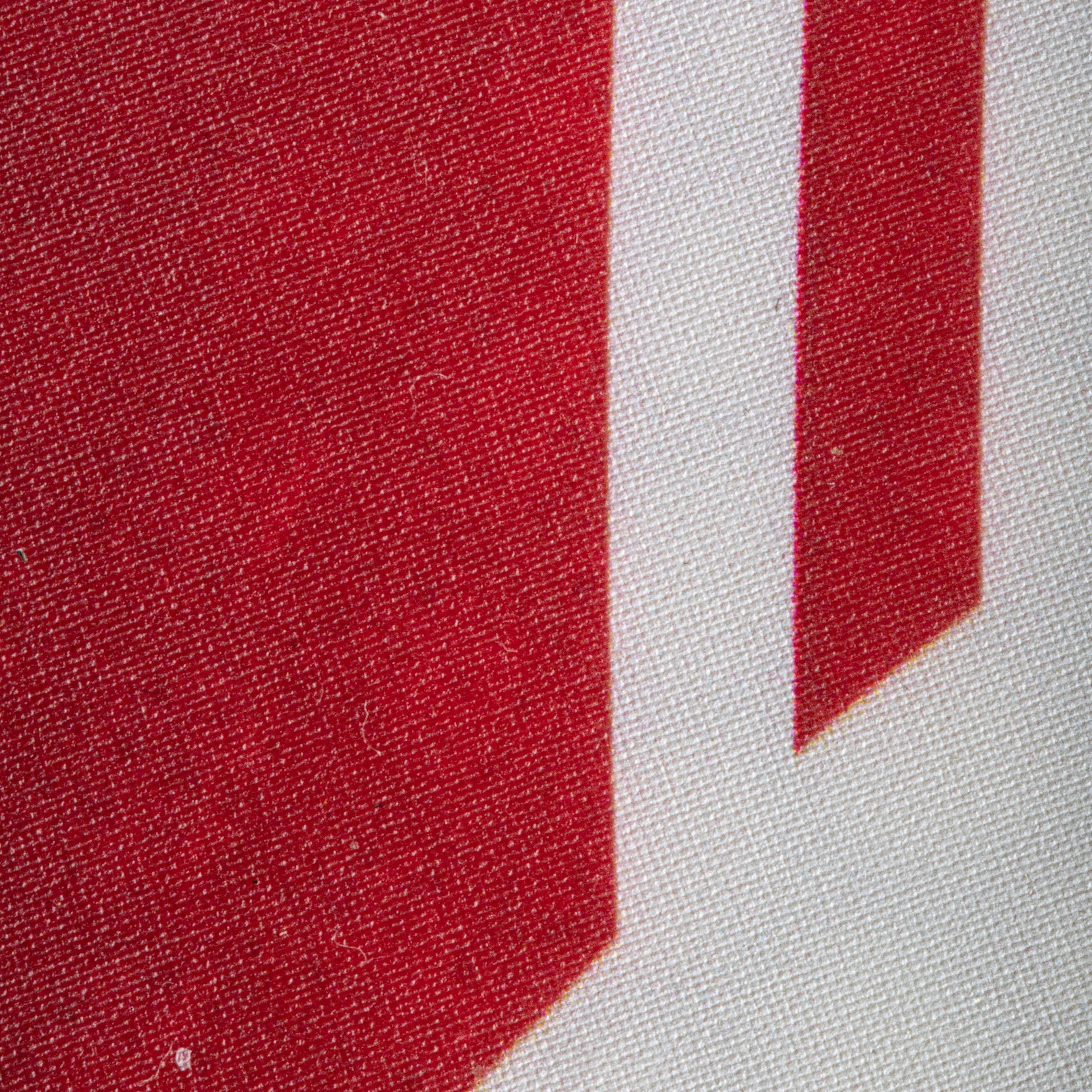 Red Composite Pickleball Paddle P744929