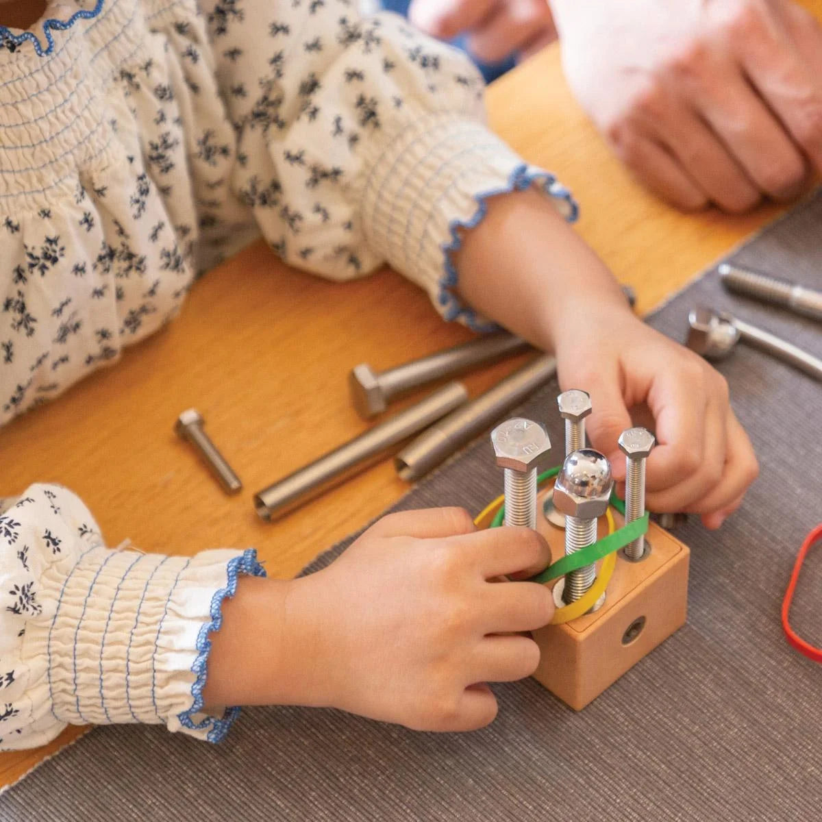 STEM Kit D551243