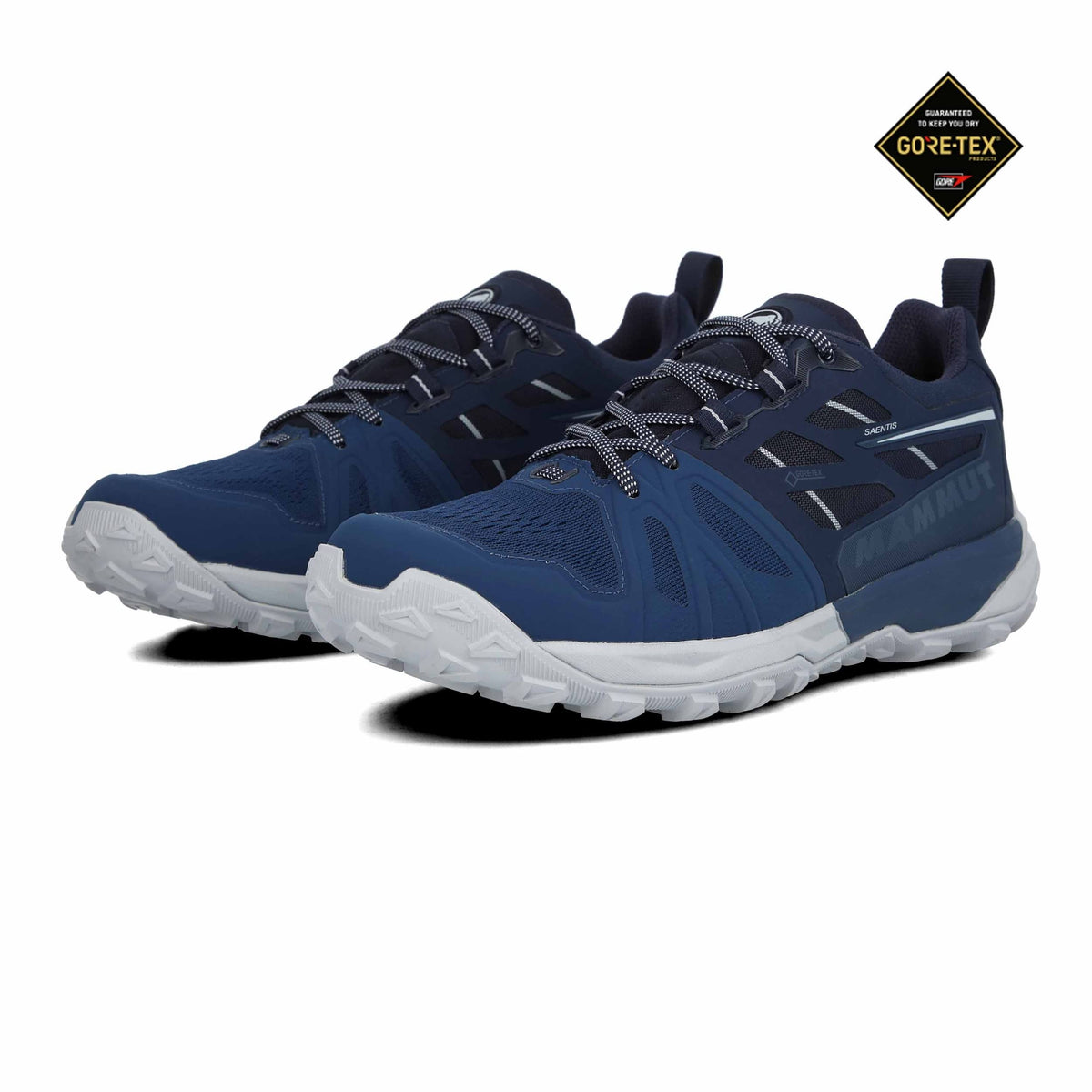 Wing Teal Low GTX Hiking Shoes Z48052