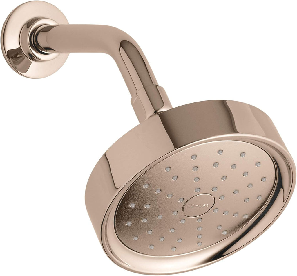 Vibrant Titanium Showerhead Z29892