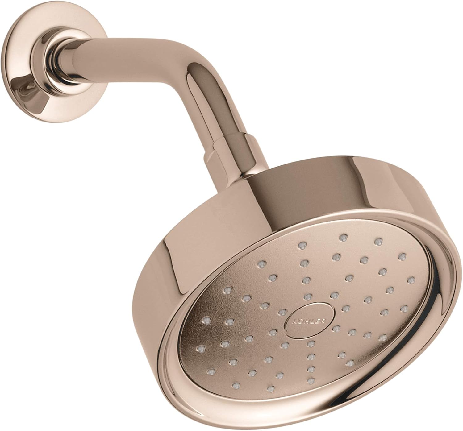 Vibrant Titanium Showerhead Z29892