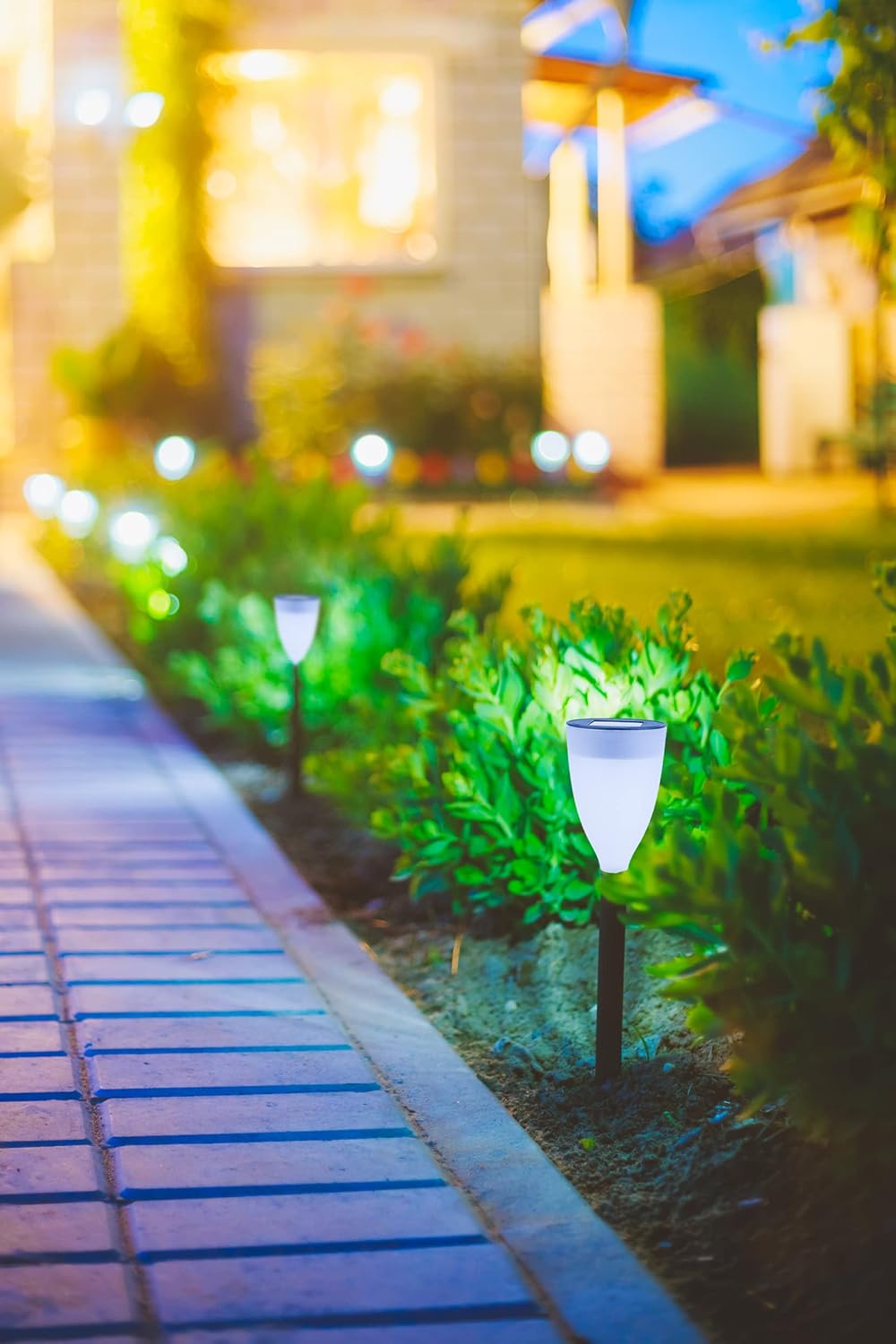 20 Packages Solar Garden Lights O241300