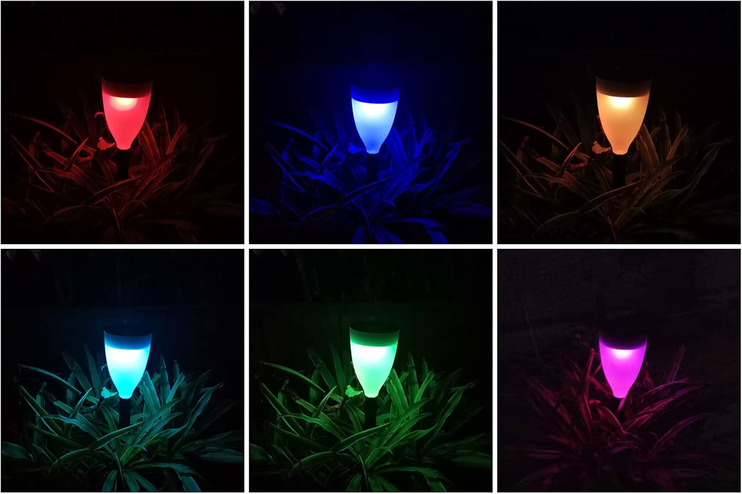 20 Packages Solar Garden Lights O241300
