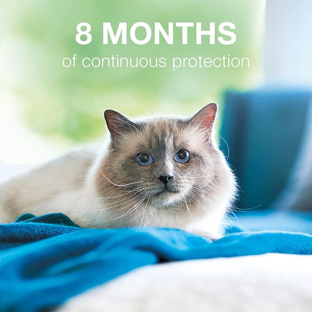 Flea and Tick Collar for Cats, 8-month Y4678